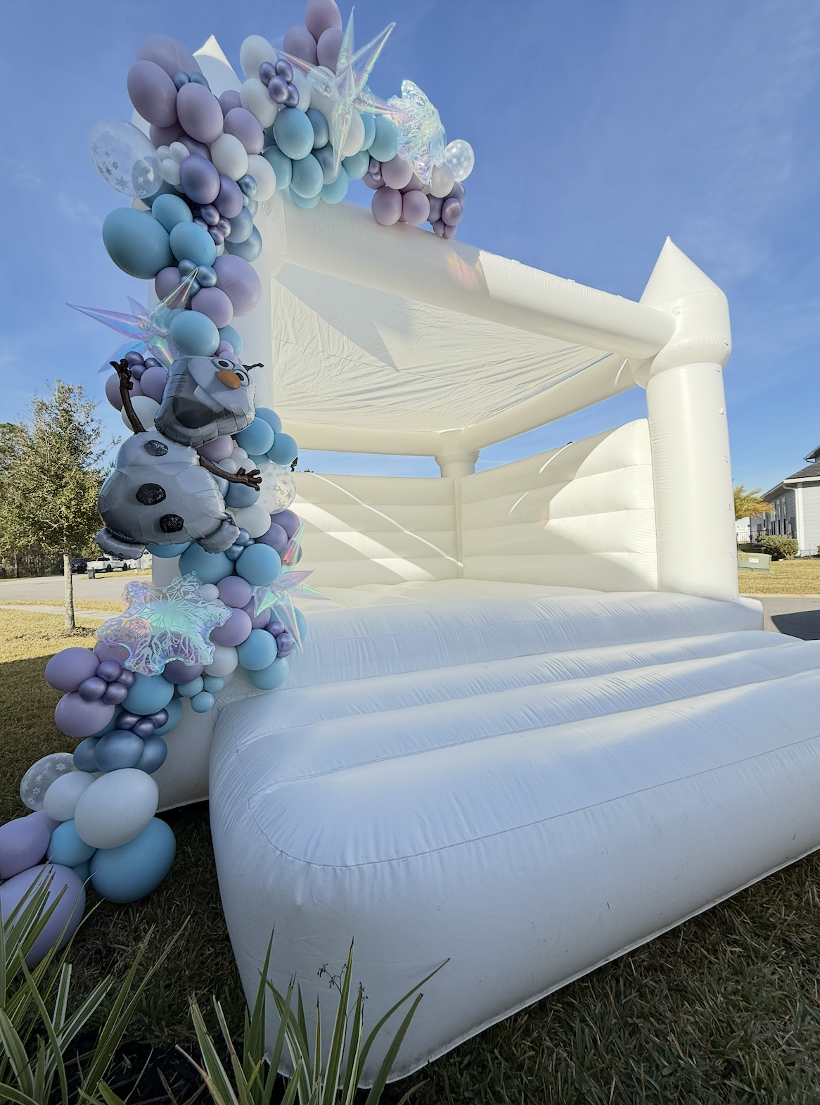 Frozen Birthday Party